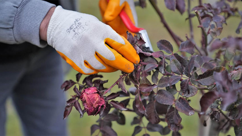 Keçiören’de parklar yenileniyor