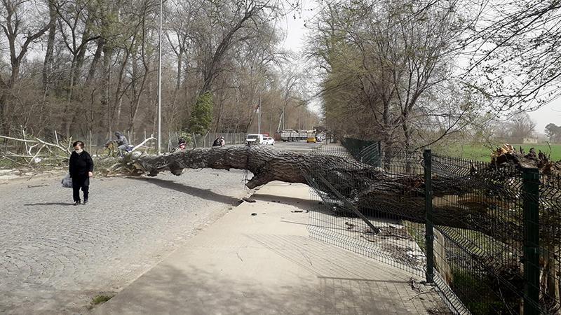 Marmara’nın batısı için ‘fırtına’ uyarısı