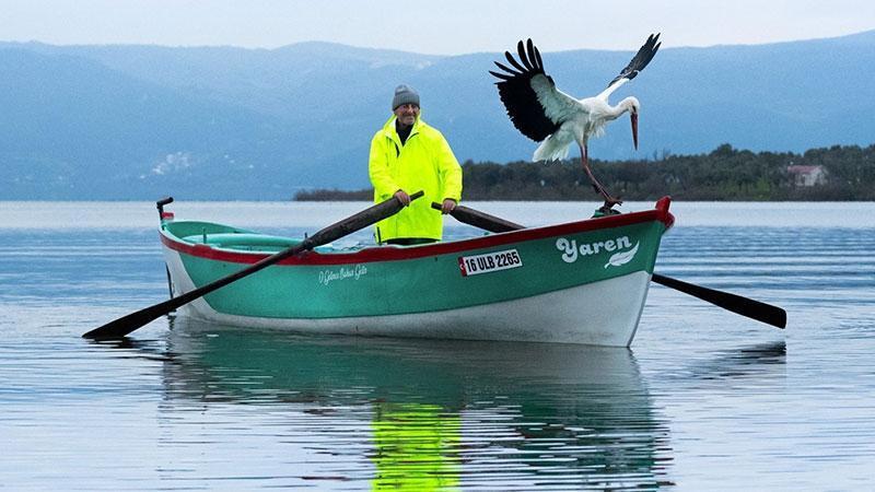Göçten 15’nci kez gelen Yaren leylek baba oldu