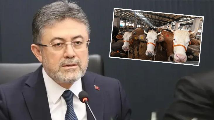 Elde kalan kurbanlıkları ESK satın alacak