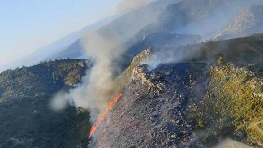 Marmaris’te makilik alanda yangın çıktı