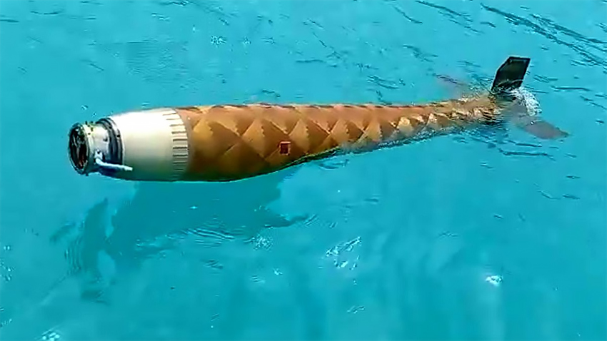 Sinop açıklarında füze düzeneği bulundu