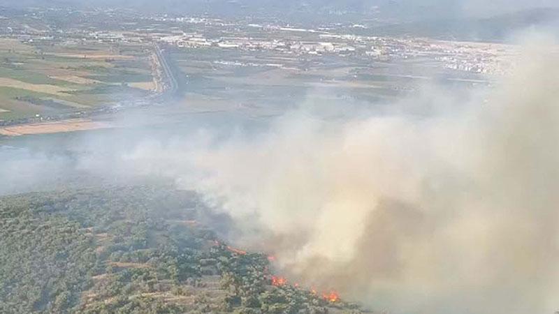 İzmir’de çıkan orman yangını kontrol altında