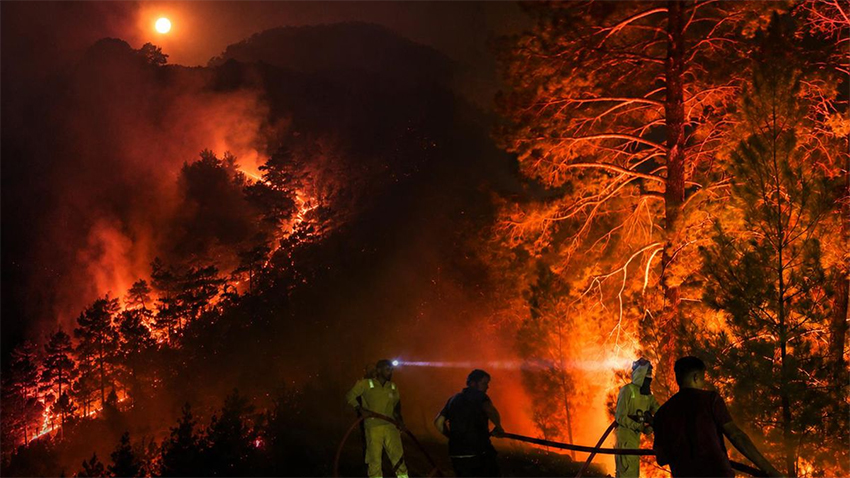 Alanya’da alevler hızla yayılıyor!