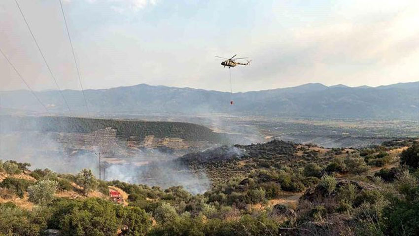Aydın’da orman yangını evlere sıçradı