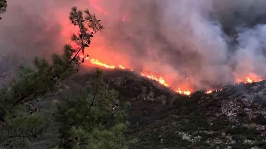 Antalya Kaş’ta orman yangını