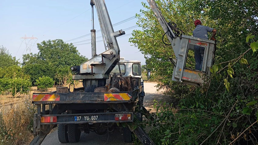 Serik’te budama ve temizlik mesaisi