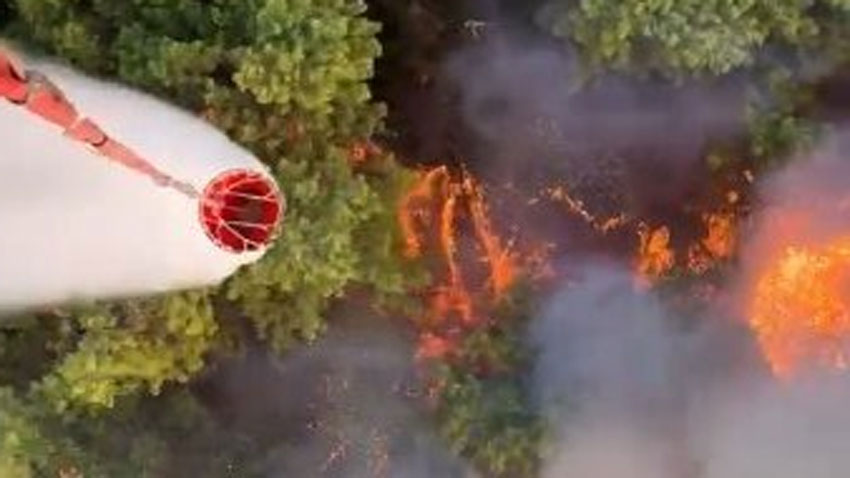 Antalya’nın Aksu ilçesinde orman yangını